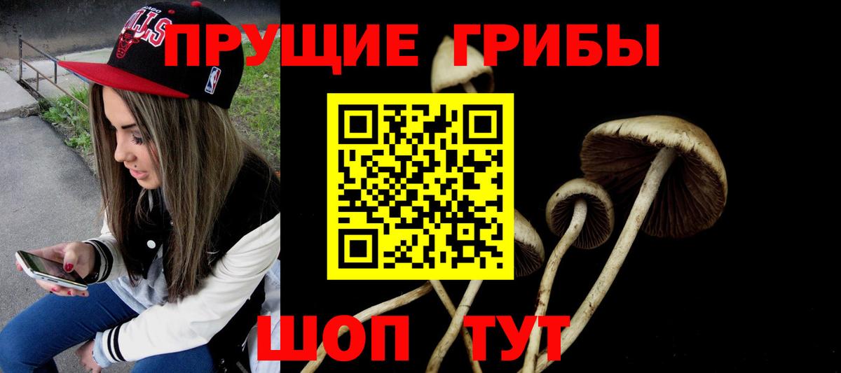 Галлюциногенные грибы Psilocybine cubensis  Вход с VPN  Галлюциногенные грибы прущие грибы  Ханты-Мансийск 